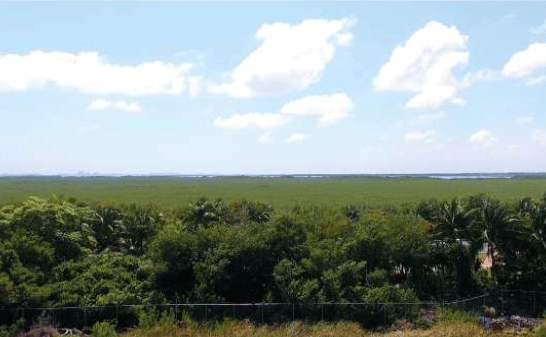 Laguna nichupté
